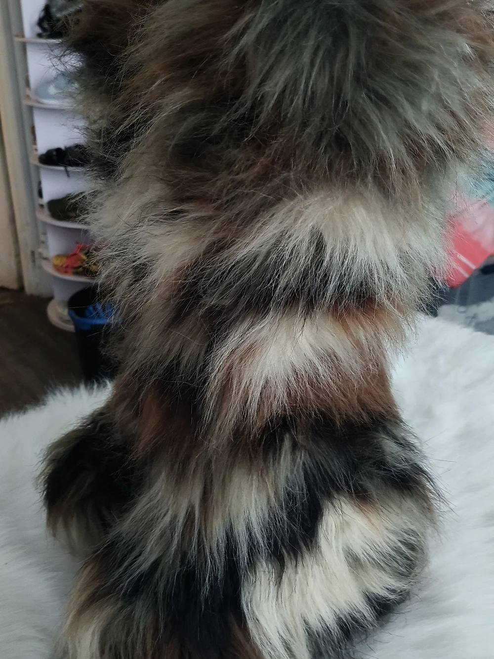Dolls Kill Faux Fur Over-the-Knee Boots in Multicolor Brown, Black & Cream